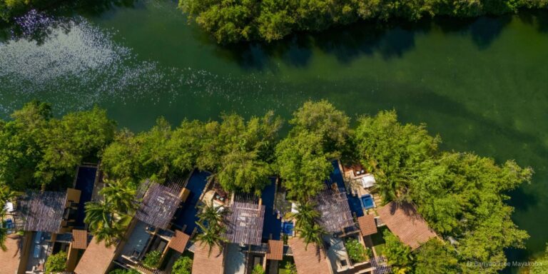 Hotel Banyan Tree Mayakoba