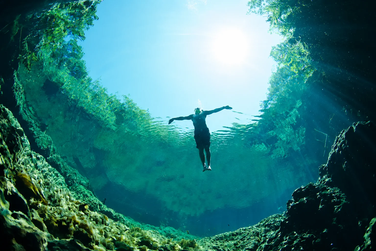 Schwimmen im klaren Wasser einer Cenote der Riviera Maya