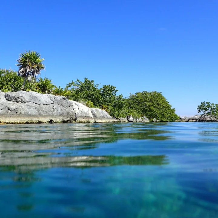Yal Ku lagoon snorkeling tour in Akumal