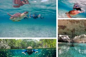 Privattour Akumal Schildkröten und Cenote in der Riviera Maya