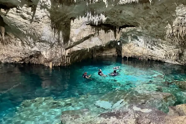 Privattour Akumal Schildkröten und Cenote in der Riviera Maya