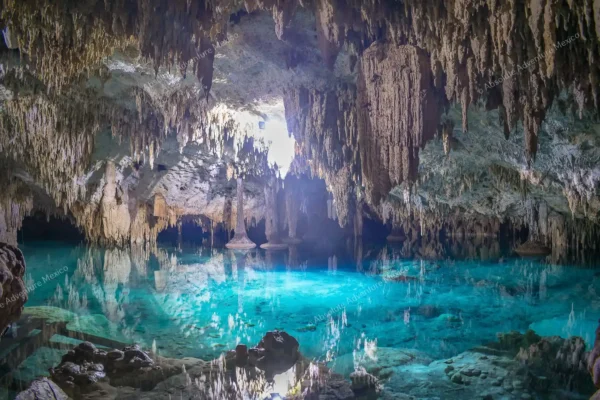 Privattour Akumal Schildkröten und Cenote in der Riviera Maya