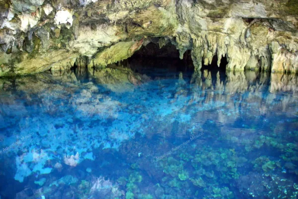 Privattour Cenote Dos Ojos Private Tour in der Riviera Maya