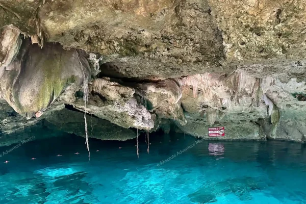 Privattour Cenote Dos Ojos Private Tour in der Riviera Maya