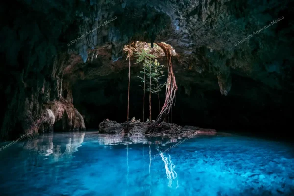 Privattour Cenote Pet Cemetery Private Tour in der Riviera Maya