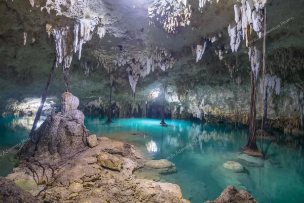Privattour Cenote Pet Cemetery Private Tour in der Riviera Maya