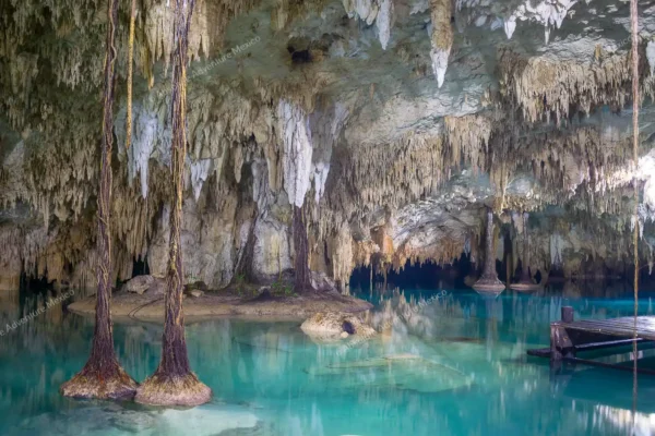 Privattour Cenote Pet Cemetery Private Tour in der Riviera Maya
