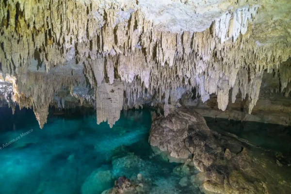 Privattour Cenote Pet Cemetery Private Tour in der Riviera Maya