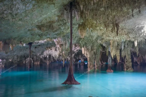 Privattour Cenote Pet Cemetery Private Tour in der Riviera Maya