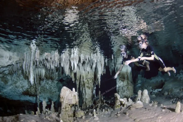Privattour Cenote Pet Cemetery Private Tour in der Riviera Maya