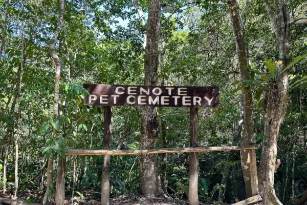 Privattour Cenote Pet Cemetery Private Tour in der Riviera Maya