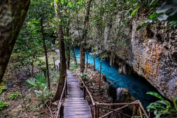Privattour Cenote Pet Cemetery Private Tour in der Riviera Maya