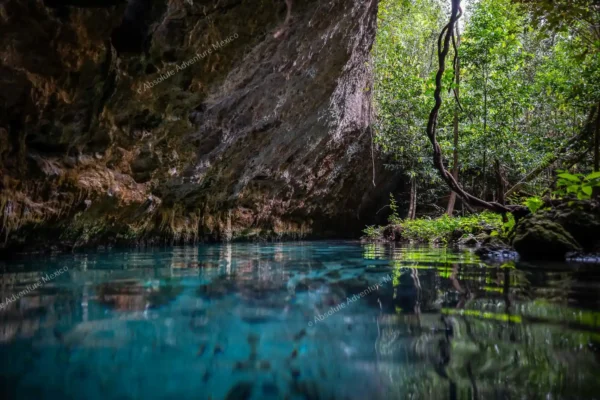 Privattour Cenote Pet Cemetery Private Tour in der Riviera Maya