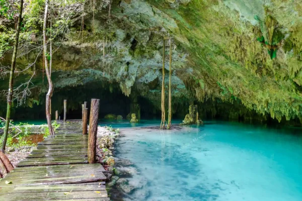 Privattour Cenote Pet Cemetery Private Tour in der Riviera Maya