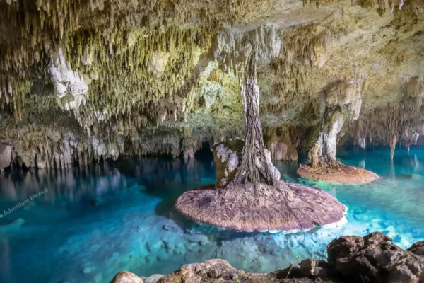Privattour Cenote Pet Cemetery Private Tour in der Riviera Maya