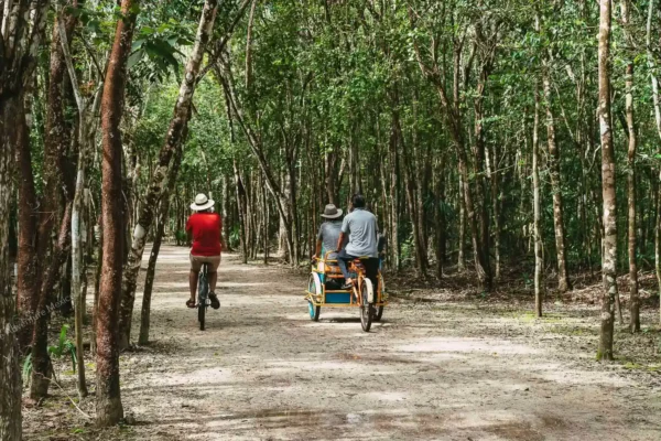 Privattour Coba Express in der Riviera Maya