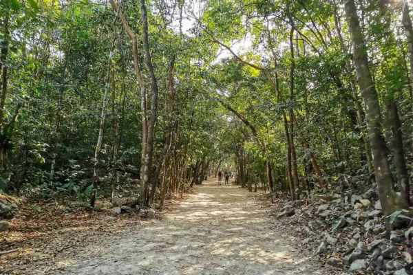 Privattour Coba Express in der Riviera Maya
