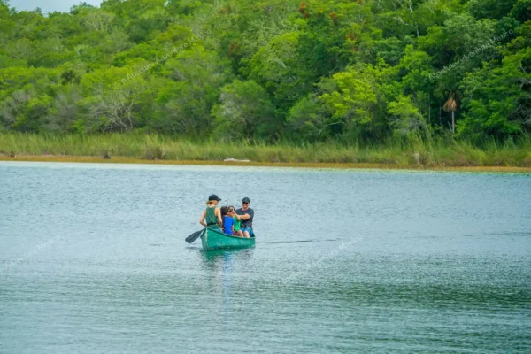 Privattour Coba Ruinen und Punta Laguna Affenreservat in der Riviera Maya