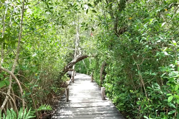 Privattour Kaan Luum Lagune und Cenote in der Riviera Maya