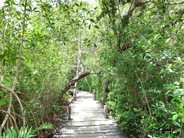 Privattour Muyil, Kaan Luum und Cenote in der Riviera Maya