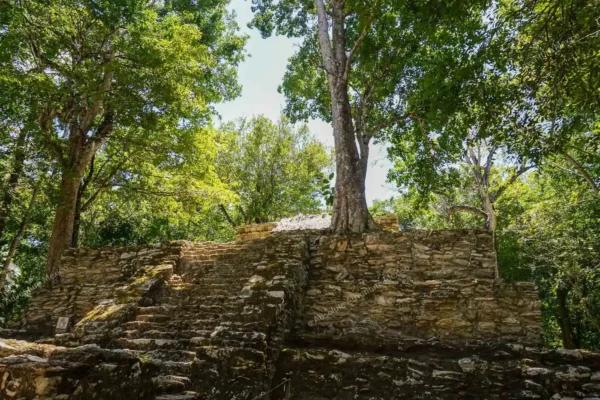 Privattour Muyil, Kaan Luum und Cenote in der Riviera Maya