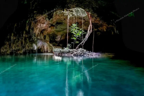 Privattour Private Tour in 2 Cenoten in der Riviera Maya
