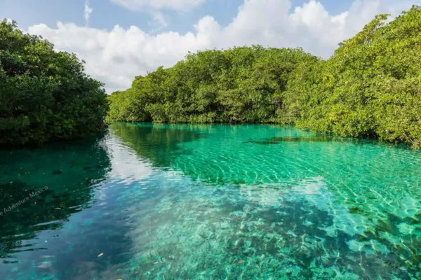 Privattour Private Tour in 2 Cenoten in der Riviera Maya