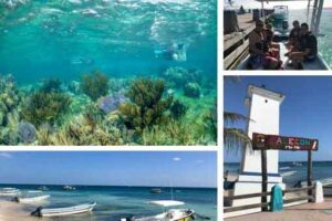 Privattour Riff-Schnorcheln in Puerto Morelos in der Riviera Maya