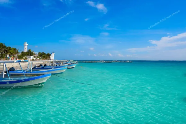 Privattour Riff-Schnorcheln in Puerto Morelos in der Riviera Maya