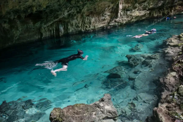 Privattour Riff-Schnorcheln in Tulum und Cenote in der Riviera Maya