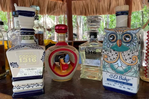 Privattour Tequila Tour im Maya-Dschungel in der Riviera Maya