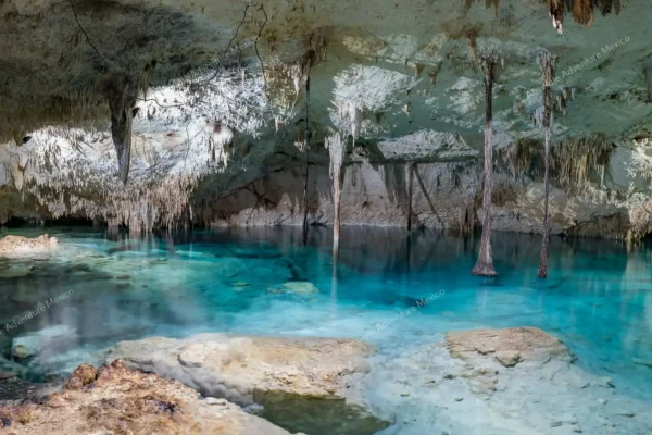 Privattour Tequila Tour im Maya-Dschungel in der Riviera Maya