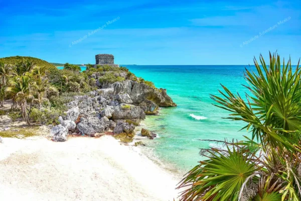 Privattour Tequila Tour im Maya-Dschungel in der Riviera Maya