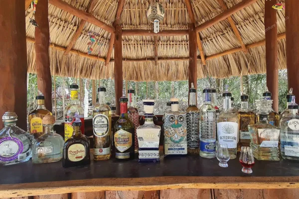 Privattour Tequila Tour im Maya-Dschungel in der Riviera Maya