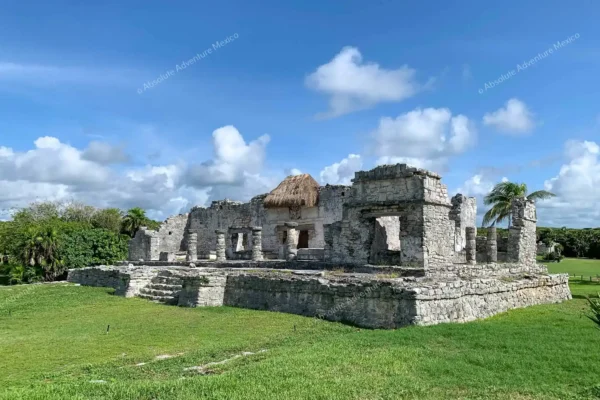 Privattour Tulum Ruinen, Cenote und Riff in der Riviera Maya
