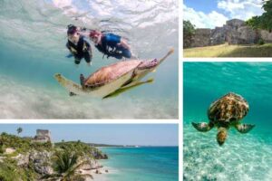 Privattour Tulum Ruinen und Schwimmen mit Schildkröten in der Riviera Maya