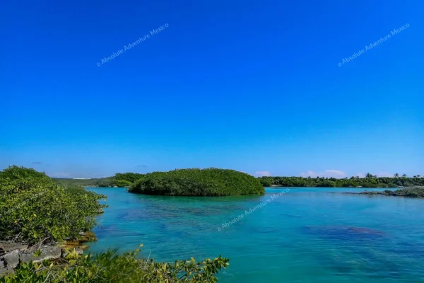 Privattour Yal Ku Lagune und Cenote in der Riviera Maya