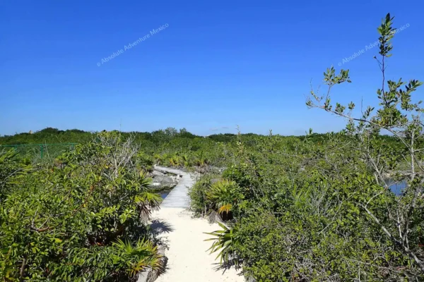 Privattour Yal Ku Lagune und Cenote in der Riviera Maya
