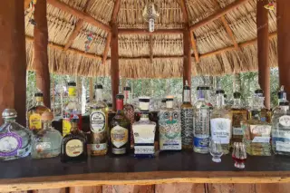 Privattour Tequila Tour im Maya-Dschungel in der Riviera Maya