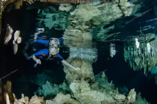 Privattour Akumal Schildkröten und Cenote in der Riviera Maya