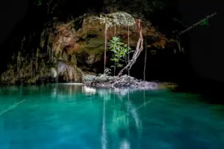 Privattour Private Tour in 2 Cenoten in der Riviera Maya