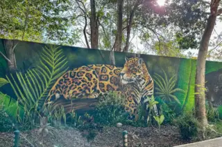 Privattour Ek Balam Express in der Riviera Maya