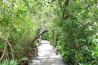 Privattour Kaan Luum Lagune und Cenote in der Riviera Maya