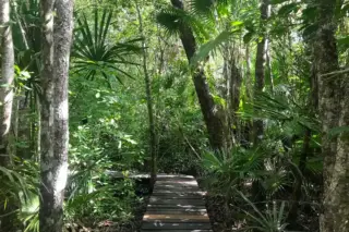 Privattour Muyil, Kaan Luum und Cenote in der Riviera Maya