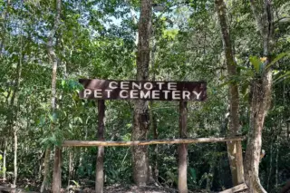 Privattour Cenote Pet Cemetery Private Tour in der Riviera Maya