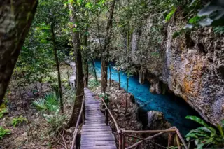 Privattour Cenote Pet Cemetery Private Tour in der Riviera Maya