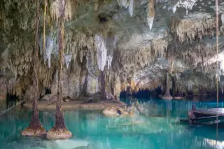 Privattour Cenote Pet Cemetery Private Tour in der Riviera Maya
