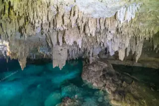 Privattour Cenote Pet Cemetery Private Tour in der Riviera Maya
