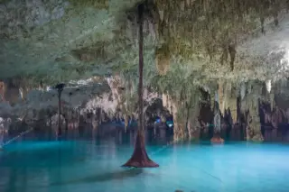 Privattour Cenote Pet Cemetery Private Tour in der Riviera Maya