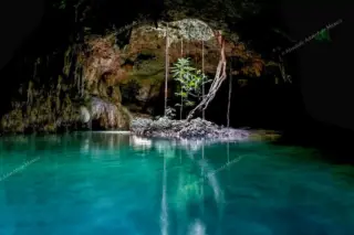 Privattour Cenote Pet Cemetery Private Tour in der Riviera Maya